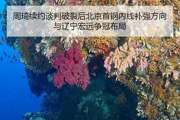 zhou-qi-xu-yue-tan-pan-po-lie-hou-bei-jing-shou-gang-nei-xian-bu-qiang-fang-xiang-yu-liao-ning-hong-yuan-zheng-guan-bu-3-998.jpg