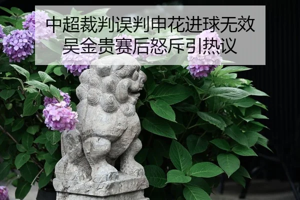 中超裁判误判申花进球无效 吴金贵赛后怒斥引热议