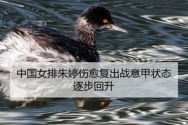 中国女排朱婷伤愈复出战意甲状态逐步回升