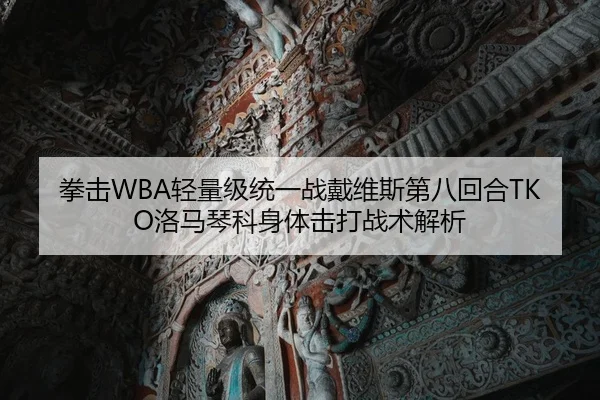 拳击WBA轻量级统一战戴维斯第八回合TKO洛马琴科身体击打战术解析