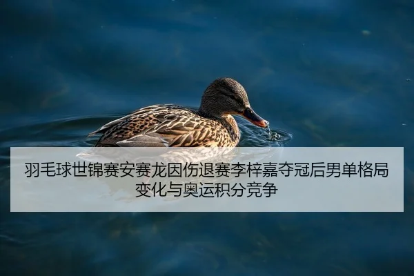 yu-mao-qiu-shi-jin-sai-an-sai-long-yin-shang-tui-sai-li-zi-jia-duo-guan-hou-nan-dan-ge-ju-bian-hua-yu-ao-yun-ji-fen-2-739.jpg