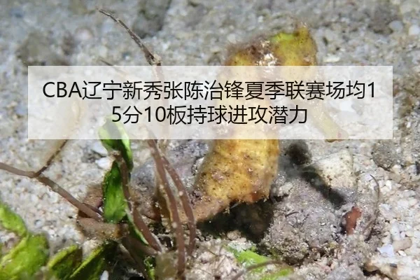 liao-ning-xin-xiu-zhang-chen-zhi-feng-xia-ji-lian-sai-chang-jun-fen-ban-chi-qiu-jin-gong-qian-li-2-416.jpg